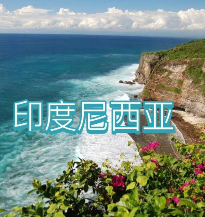 国国际电商(印尼)产业博览会冰球突破爆百万大奖2025中(图1) 国国际电商(印尼)产业博览会冰球突破爆百万大奖2025中(图1)