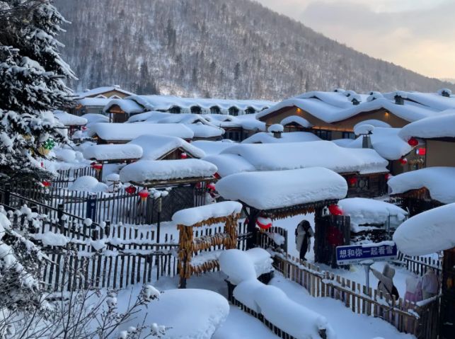 滨旅行社：远胜游登榜口碑服务双优冰球突破技巧认证！2026 哈尔(图3)